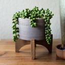  5" Pueblo Planter