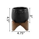  3.5" Caveman Planter