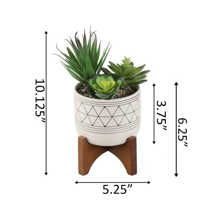 Succulent Mix in Gold Geo Planter 