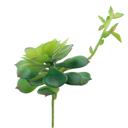 Green Artificial Echeveria Lola with Stem