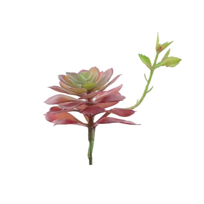 Artificial Echeveria Lola with Stem