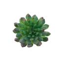 Green Artificial Irish Mint Succulent with Stem