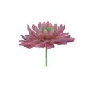 Purple Artificial Irish Mint Succulent with Stem