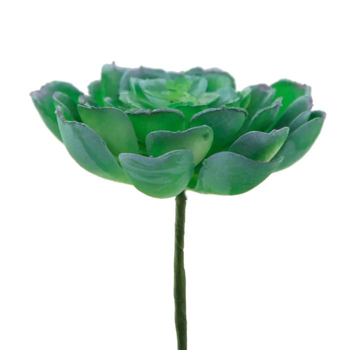 Artificial Large Echeveria with Stem