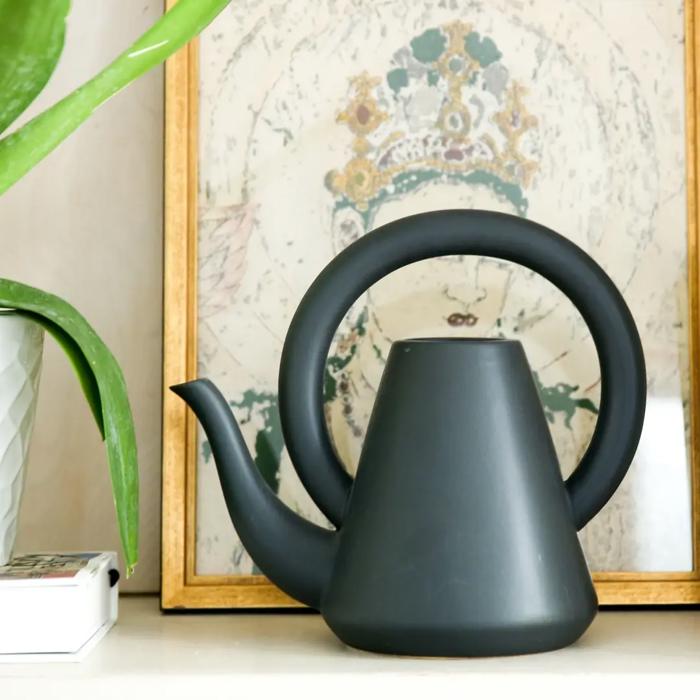 Loop Watering Can