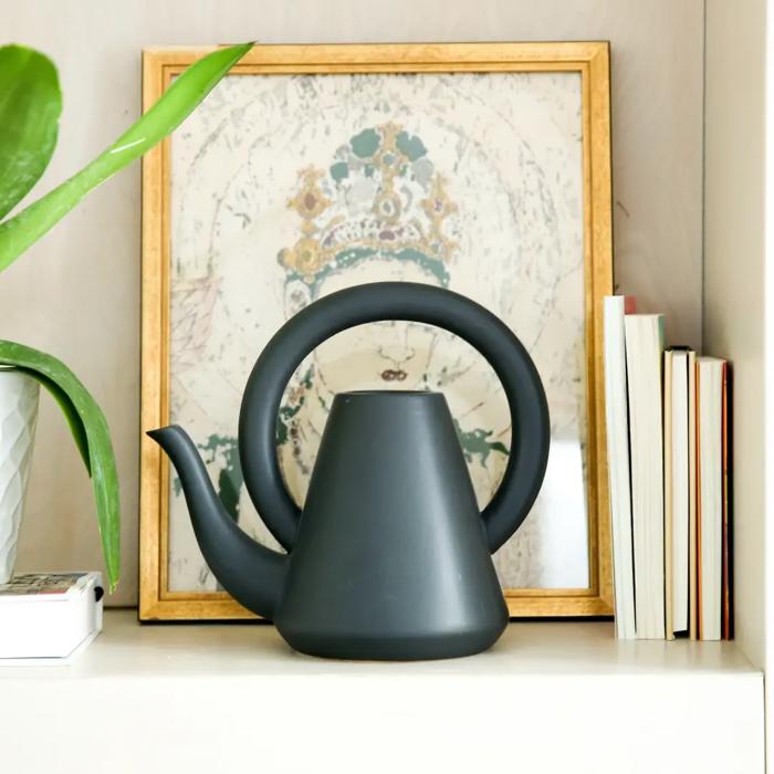 Loop Watering Can