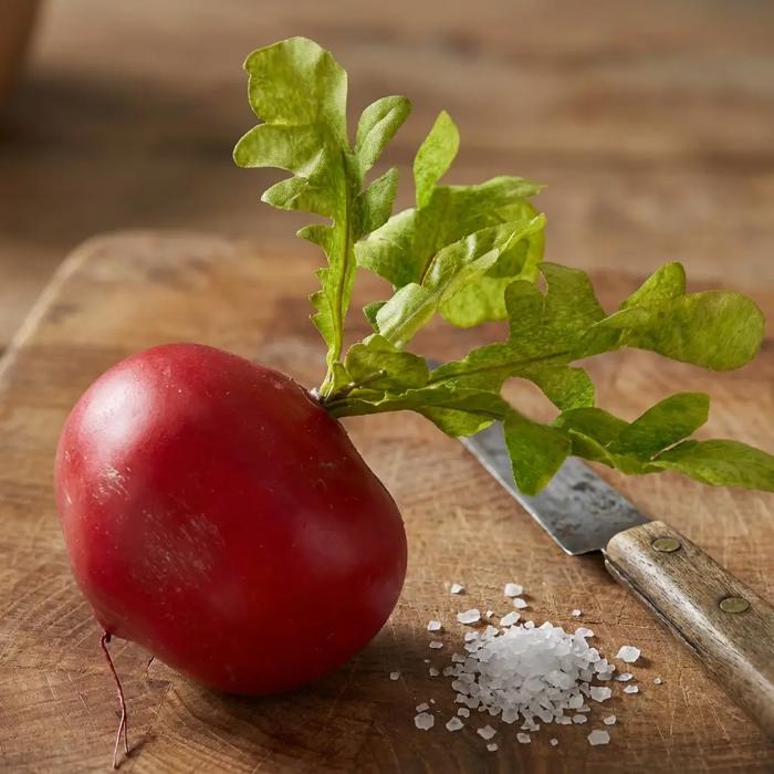 Artificial Round Radish