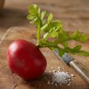 Red Artificial Round Radish