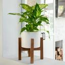 White 8" Dumpling Ceramic Pot on Stand 