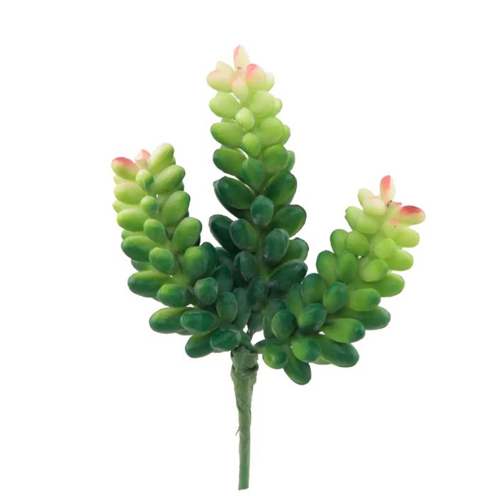 Artificial Donkey Tail Green Succulent