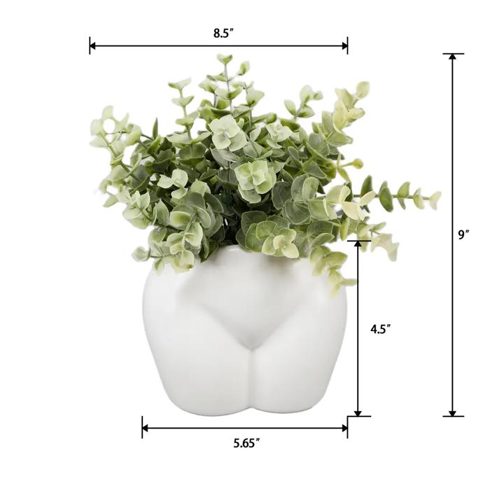 9" Euc in 5.5" Ceramic Vase