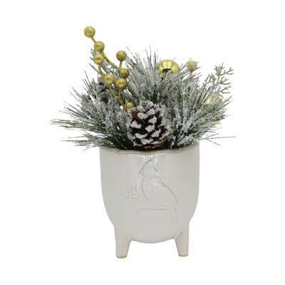 Xmas Mix Snowy Pine in 4.5" Cardinal Planter