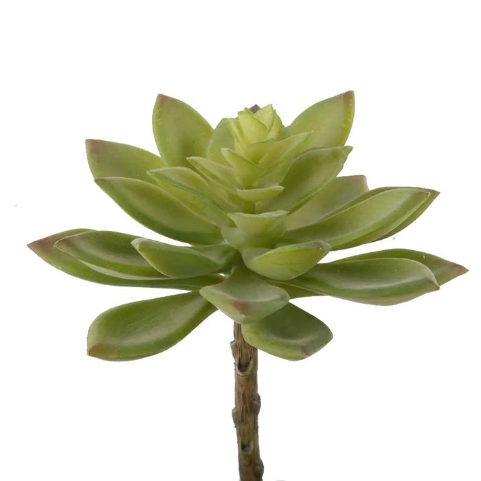 Artificial Jovibarba Emerald Spring with Stem