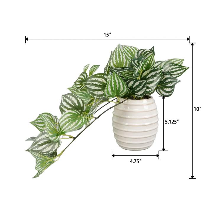 Trailing Ivy in 4.75" Ceramic