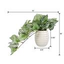  Trailing Ivy in 4.75" Ceramic