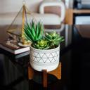 Black Succulent Mix in Gold Geo Planter 