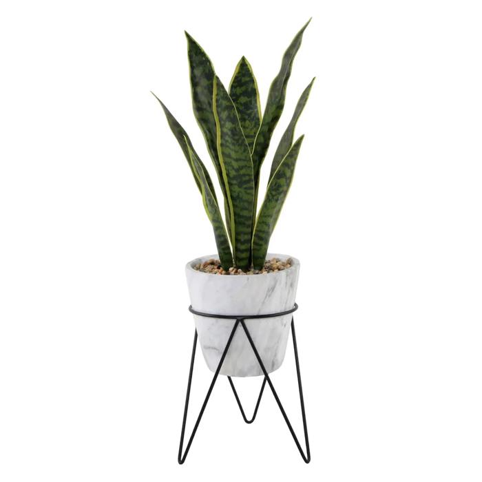 21" Snake Plant in Marble Planter