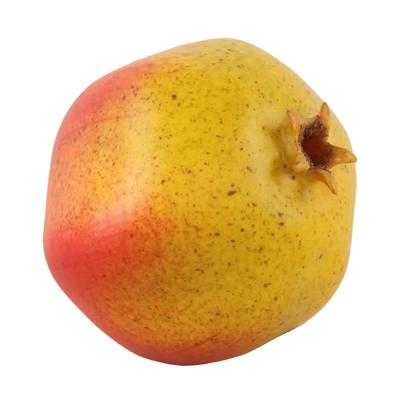 Artificial Pomegranate (YL/RD)