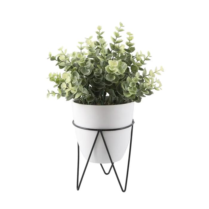 12" Eucalyptus in Planter with Metal Stand