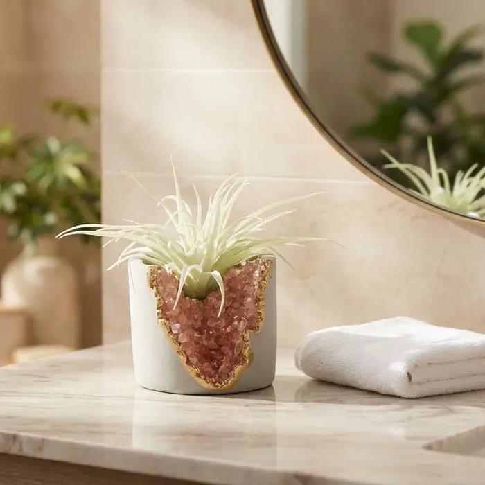 Succulent in Pink Amethyst Planter
