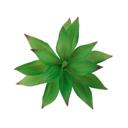  Artificial Aloe Blizzard with Stem