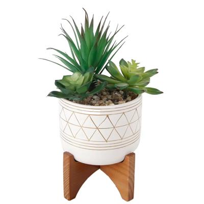 Succulent Mix in Gold Geo Planter 