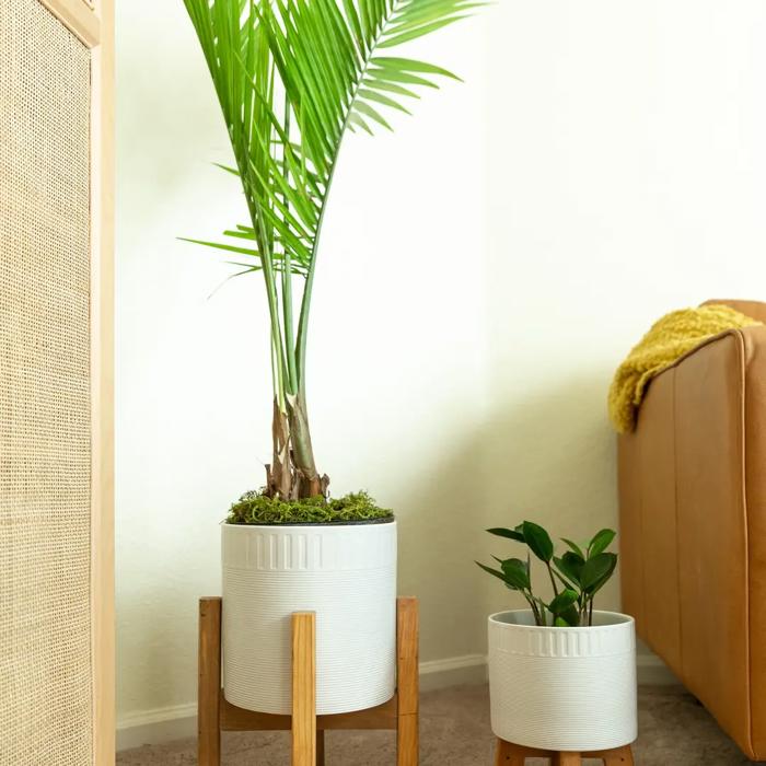 Set of 2 10" & 8"  Dumpling Ceramic Planters