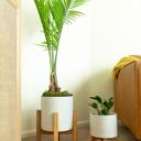  Set of 2 10" & 8"  Dumpling Ceramic Planters