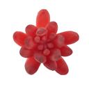 Red Artificial Small Little Gem with Stem