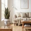   15.25" Snake Plant in Planter with Metal Stand