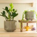  Set of 2 Rainbow Footed Planters