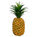  Artificial Pineapple