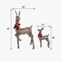  2-Piece 3D Deer Set