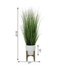  50" Onion Grass in Cathedral Planter