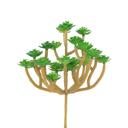  Artificial Multi Mini Succulents with Stem