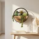  Succulent Mix in Round Hanging Planter