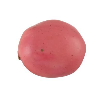 Realistic Faux Potato (MV)