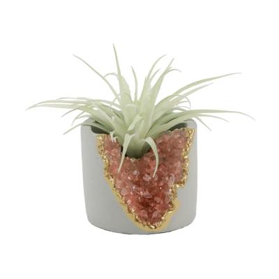 Succulent in Pink Amethyst Planter