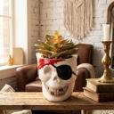  Faux Succulent in Ceramic Pirate