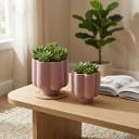 Set of 2, Matte Lilac 6.5"D & 5.25"D   Ceramic Flower Planters