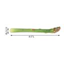  Artificial Asparagus