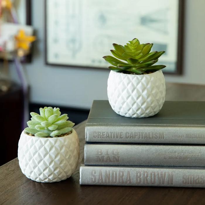 Set of 2 Succulents in Pineapple Planters