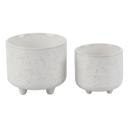   Set of 2 Dragonfly Footed Planters