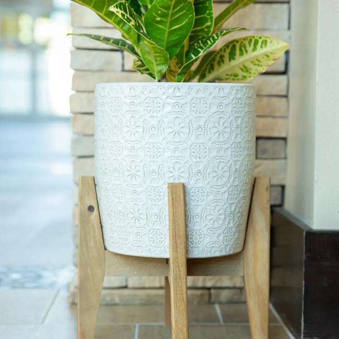 Set of 2 10" & 8" Cathedral Ceramic Planters