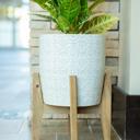  Set of 2 10" & 8" Cathedral Ceramic Planters
