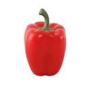 Red Artificial Bell Pepper