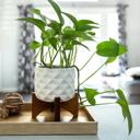  5" Dimple Planter