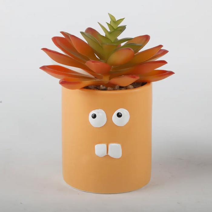 Crazy Eyes Planter with Succulent