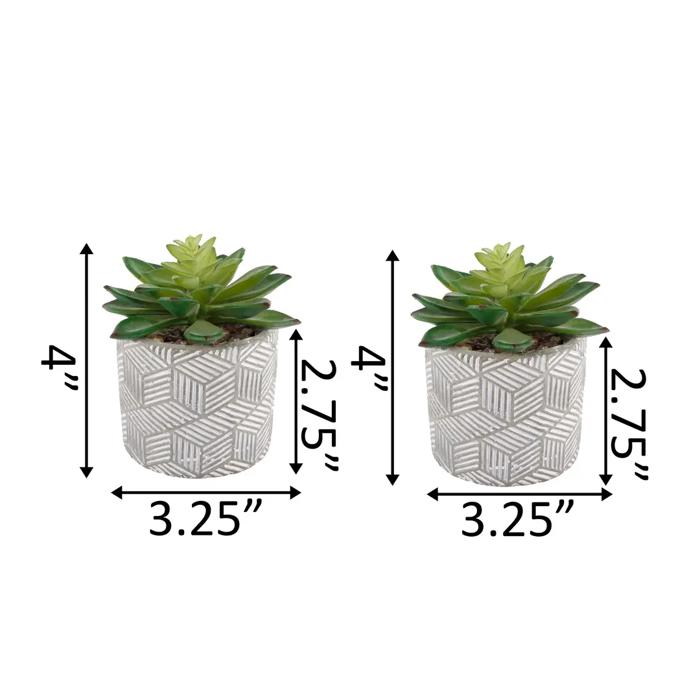 Set of 2 Succulents in Pattern Cement Planters