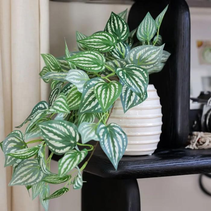 Trailing Ivy in 4.75" Ceramic